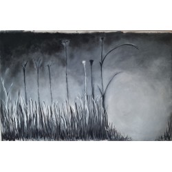 copy of Pure Nature (PN1)