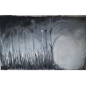 copy of Pure Nature (PN1)
